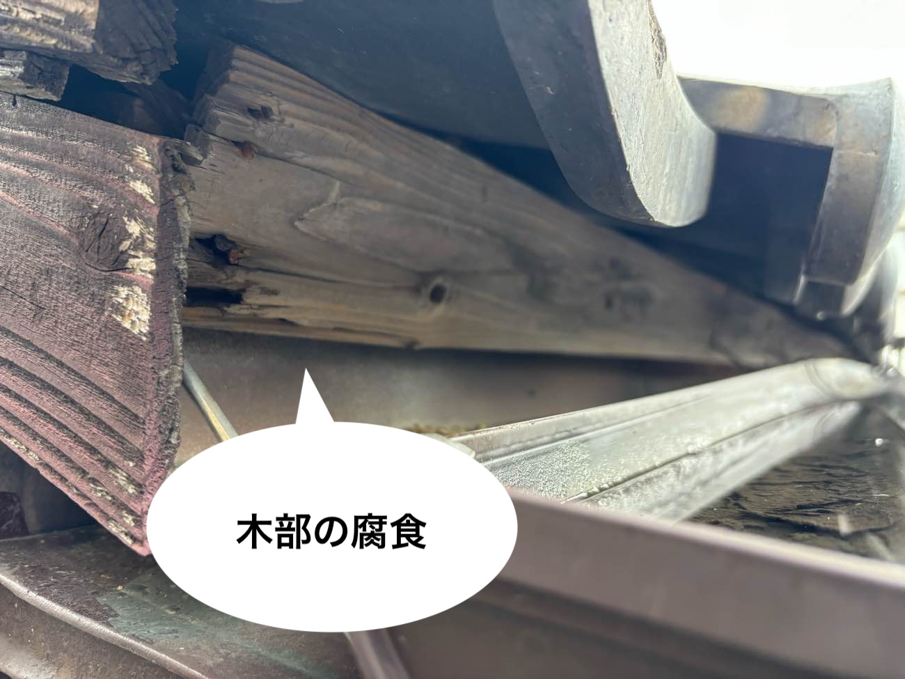 木部の腐食