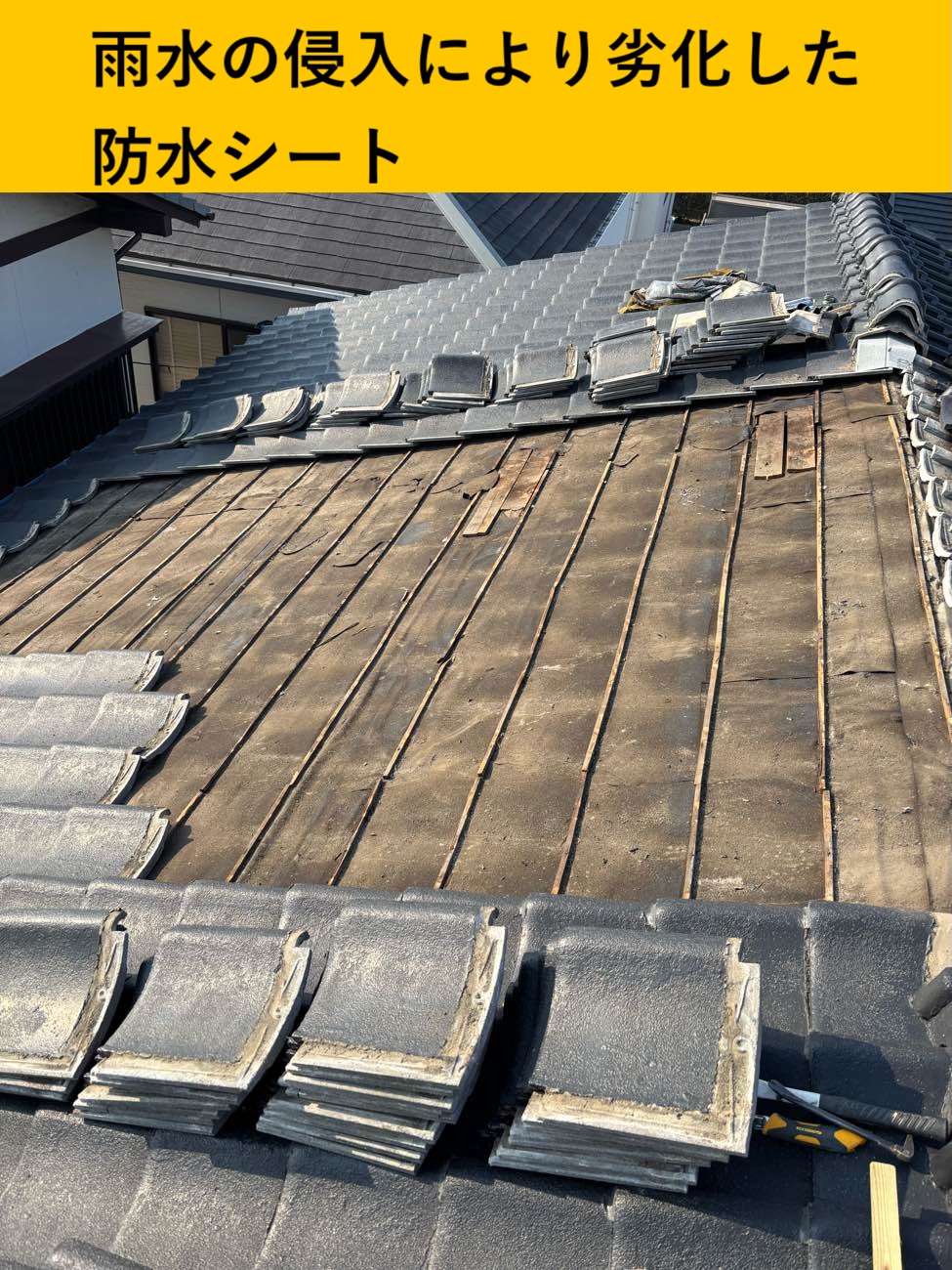 瓦を外して劣化した防水シートを露出