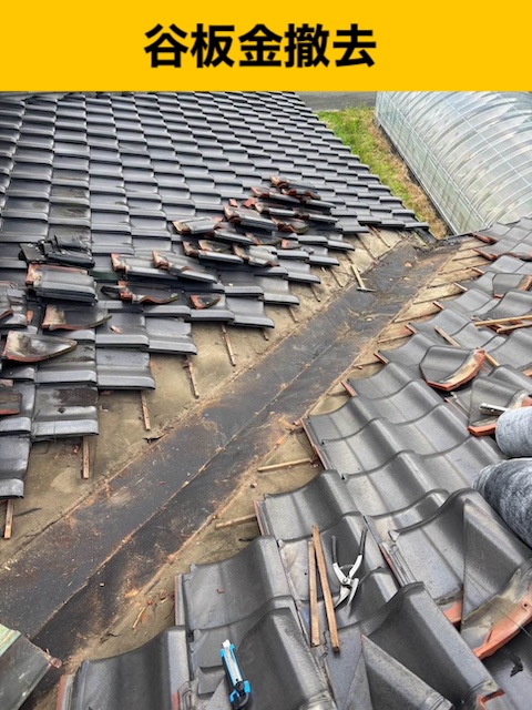 谷板金交換工事、雨漏り、瓦屋根