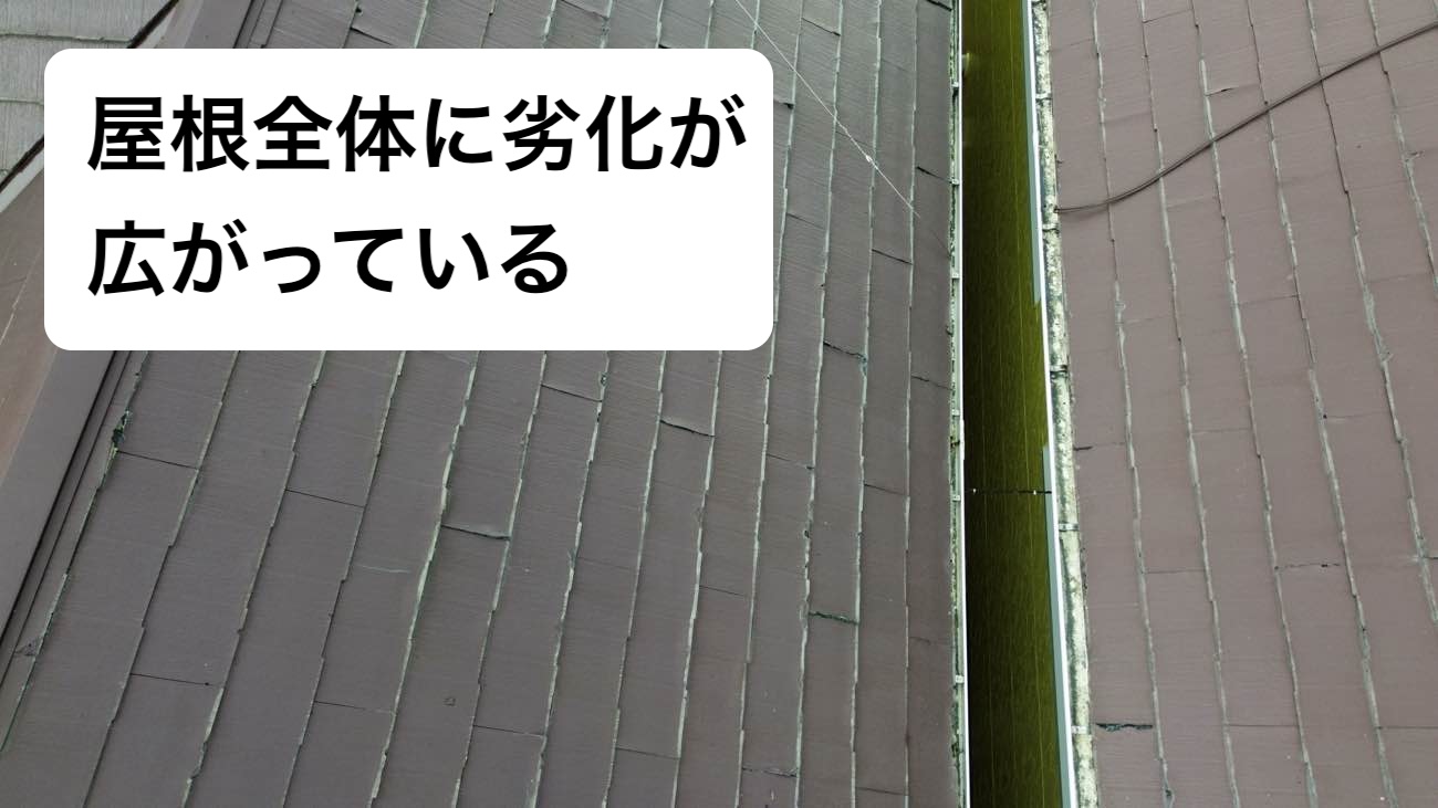 劣化が全体に広がっている屋根
