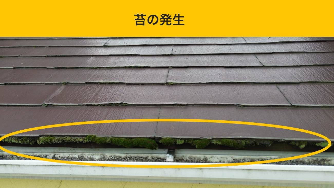 苔の発生した屋根