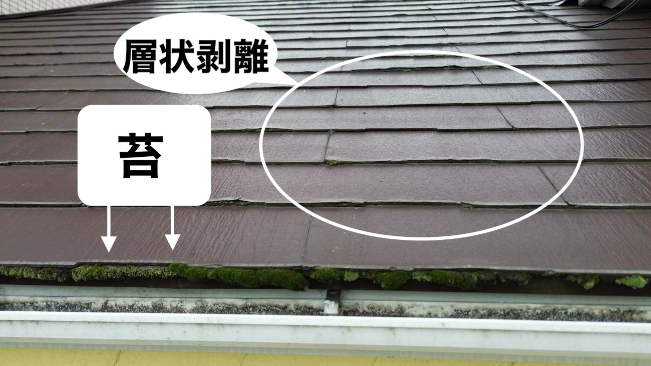 屋根の苔、層状剥離