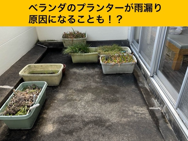 雨漏り、防水