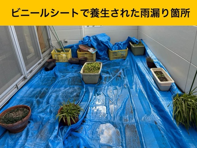 雨漏り、ベランダの劣化