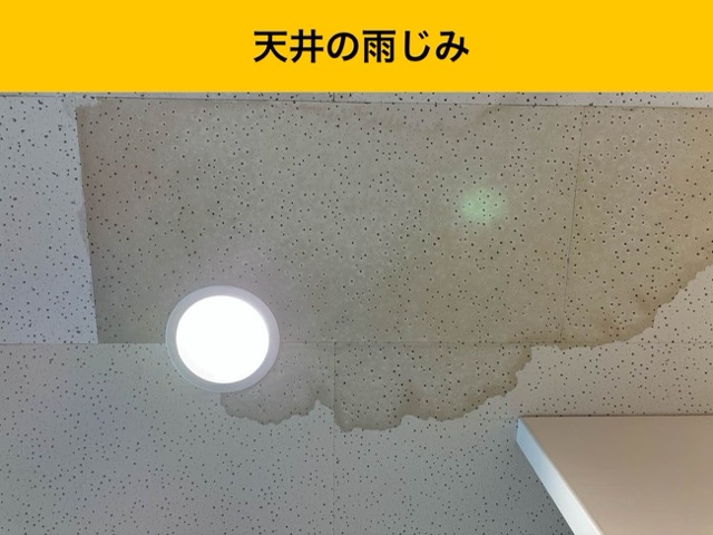 天井のシミ