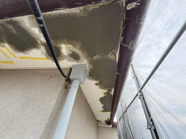 筑紫野市にて腐食が進んだ軒天と屋根の表面の剥がれを調査にて確認