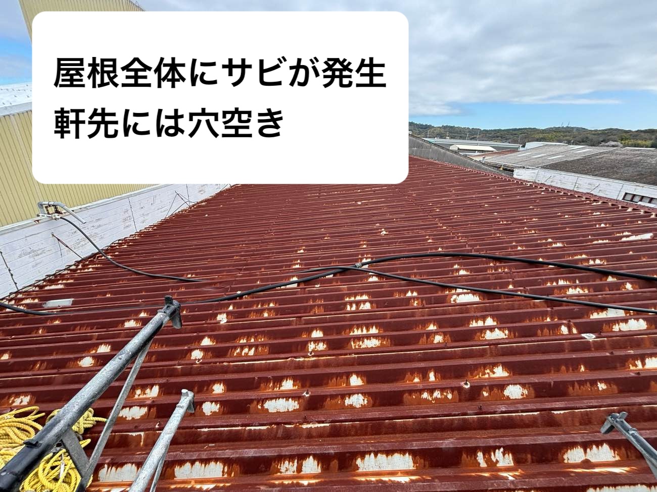 工場屋根調査