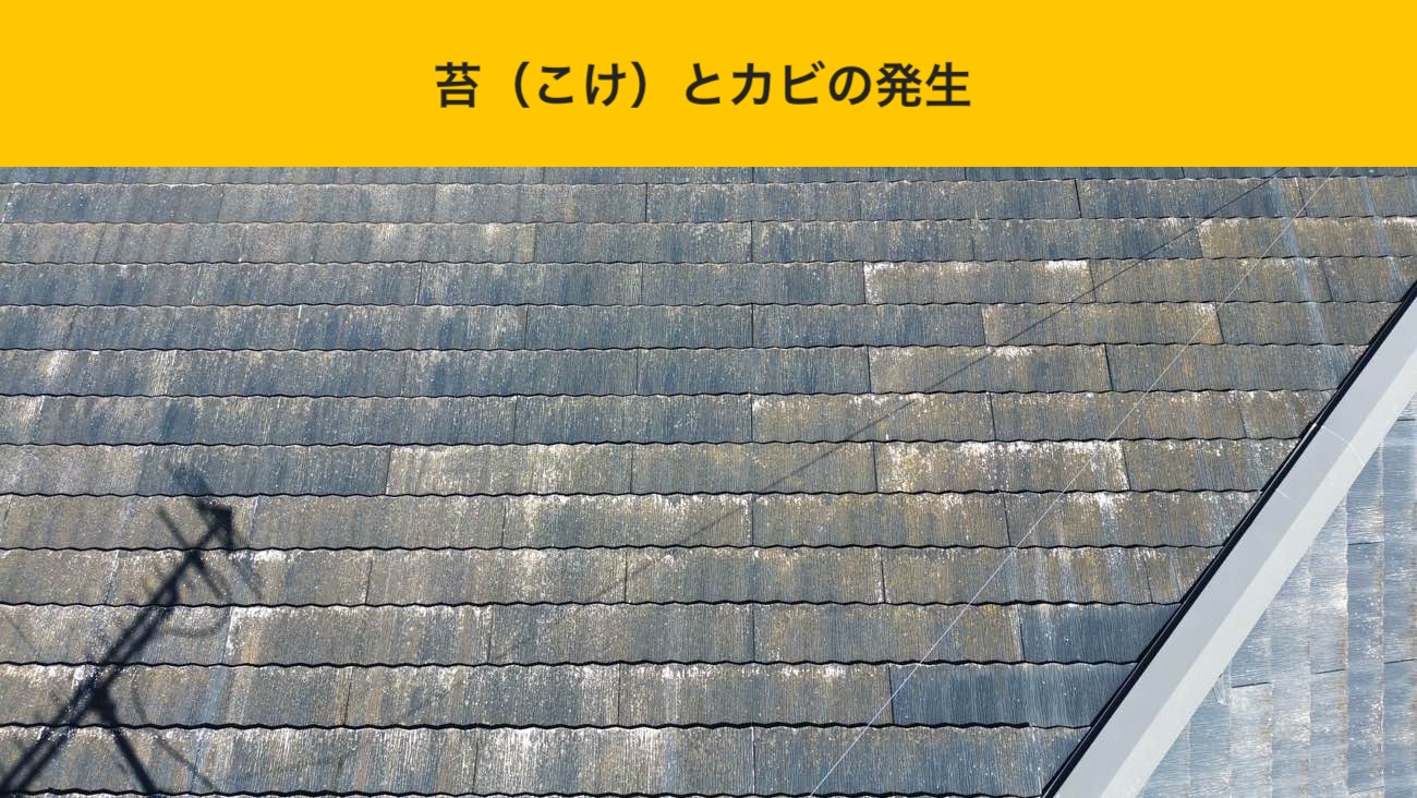 大野城市の屋根調査、カラーベストの劣化