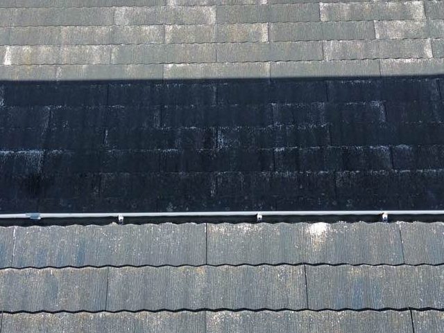 小郡市の日陰になる部分の苔汚れ