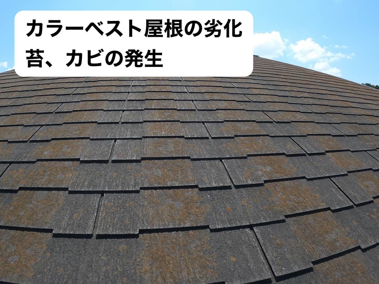 スレート屋根