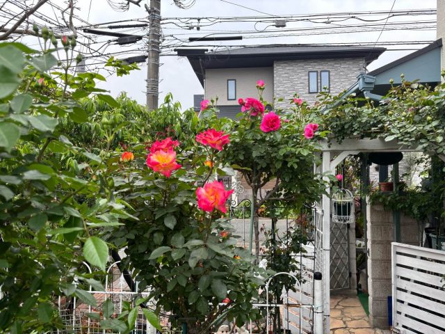 城南区のお客様お気に入りのお庭