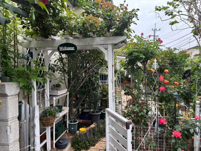 城南区のきれいに手入れされたお庭