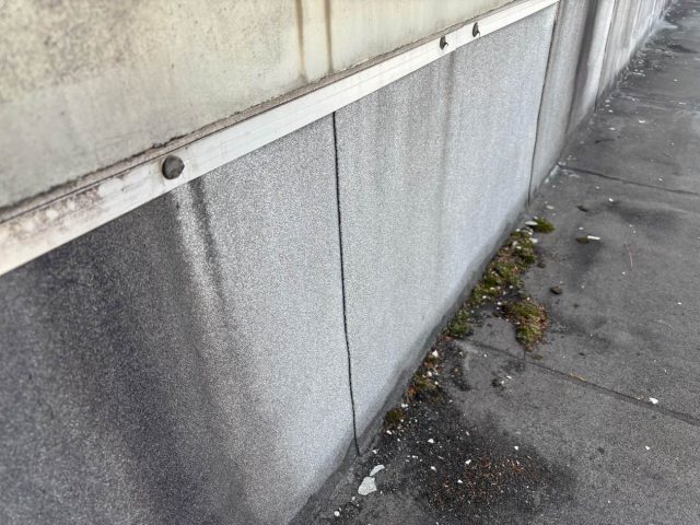 福岡市南区の建物に蓄積した苔