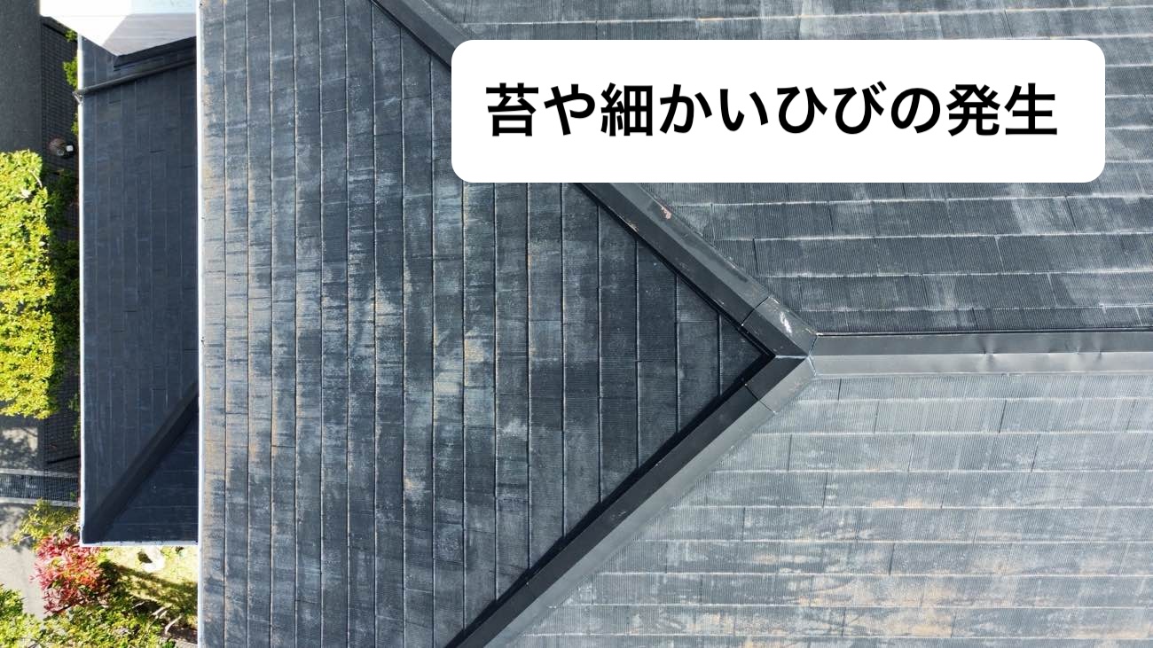 苔や細かいヒビの発生