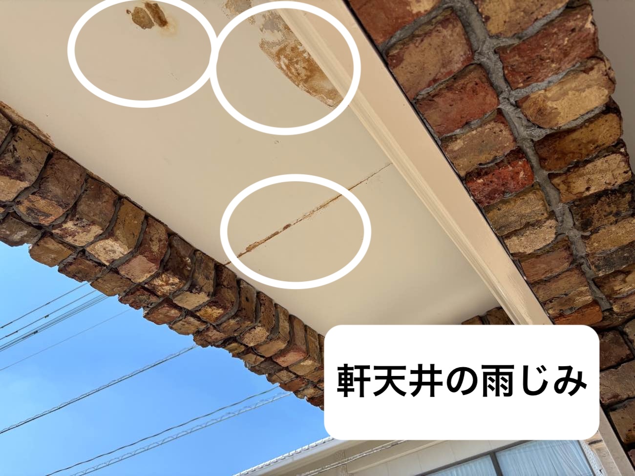軒天井