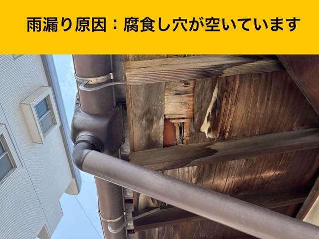 軒天井