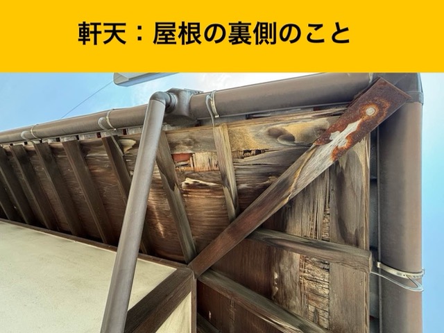 軒天井