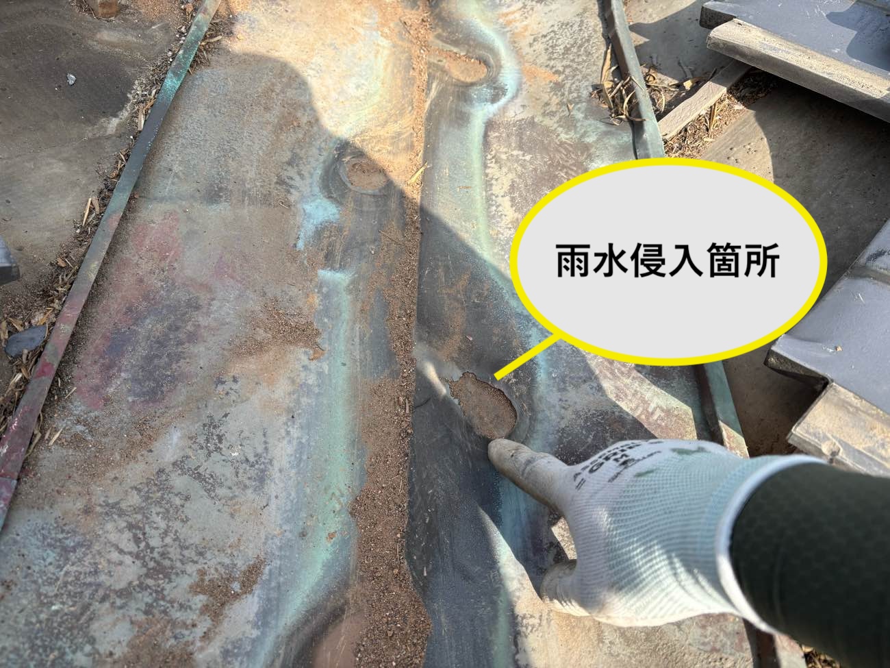 雨漏り箇所