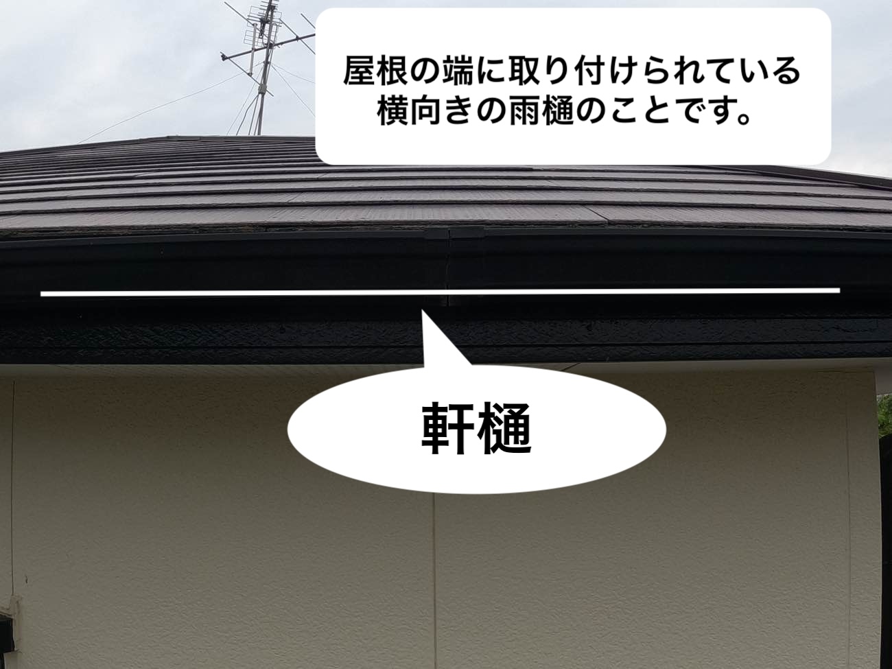 軒樋