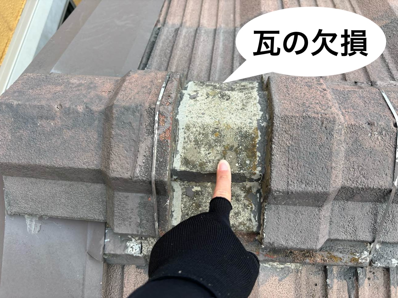 セメント瓦の欠損