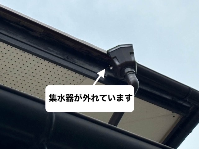 雨樋
