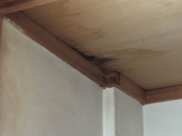 糸島市で発生した雨染み