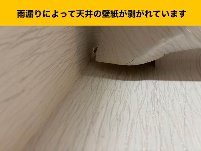 福岡市南区の方へ｜雨漏りの原因は増築部分のドレンにあった！葉やゴミで排水不良になったドレンの復旧工事