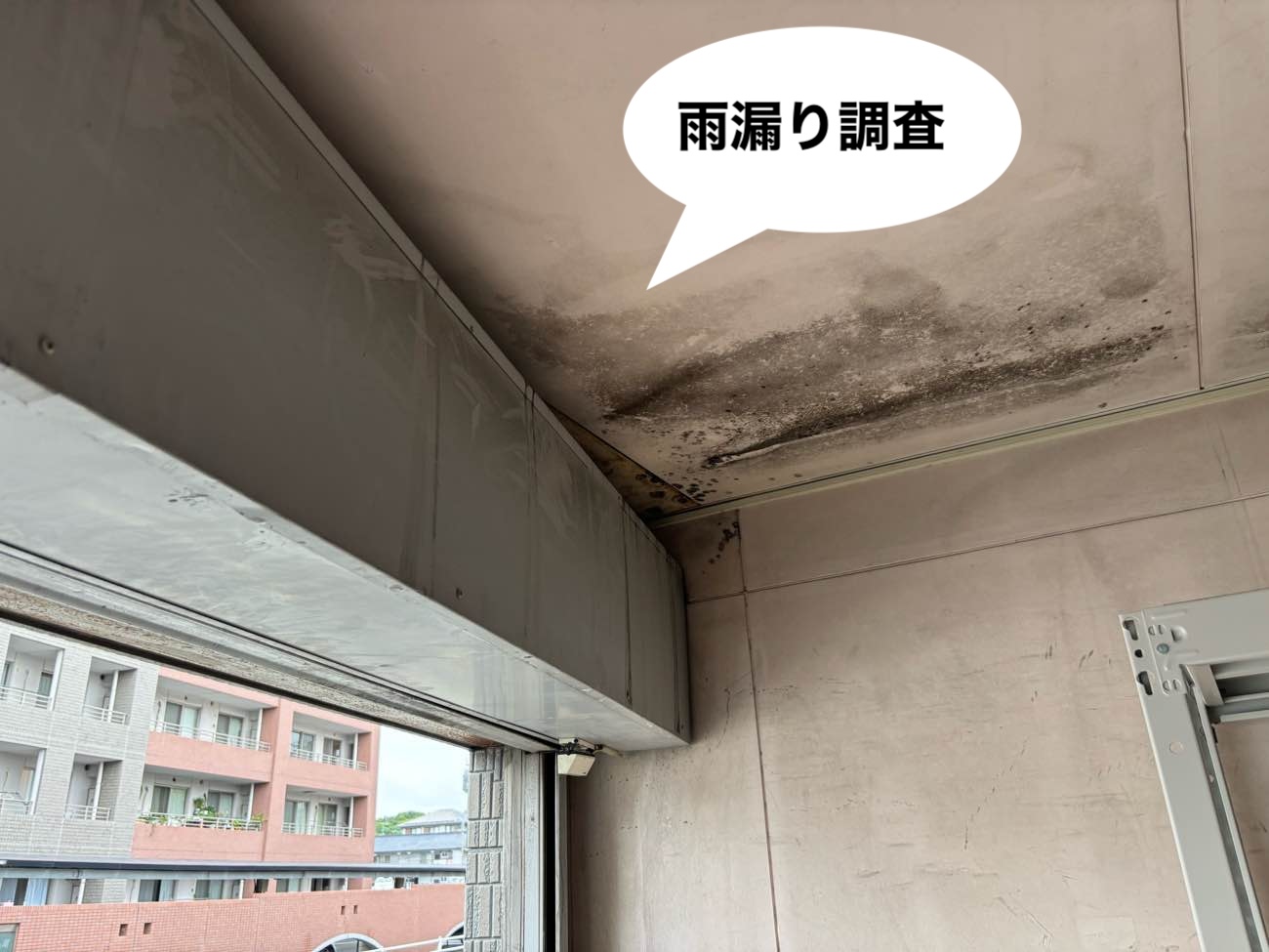 雨漏り調査