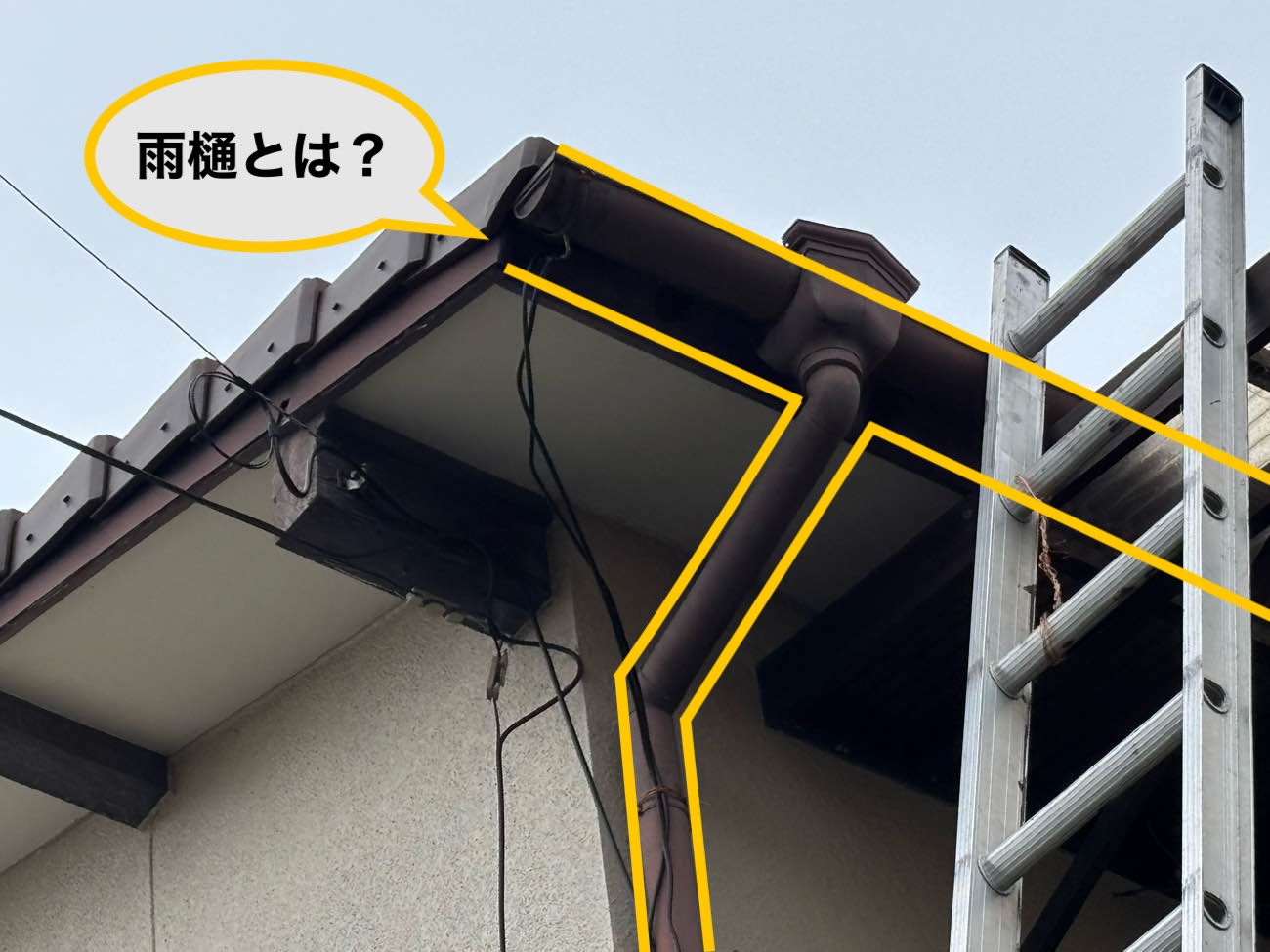 雨樋