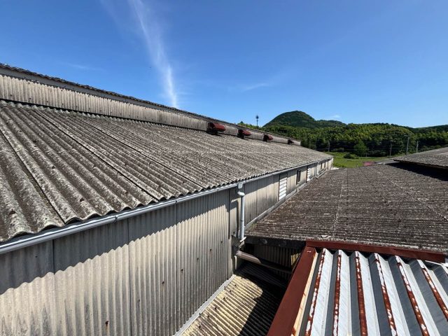 【福津市】物流倉庫の雨漏り調査｜大波スレート屋根で4箇所発生・ひび割れや欠けを確認
