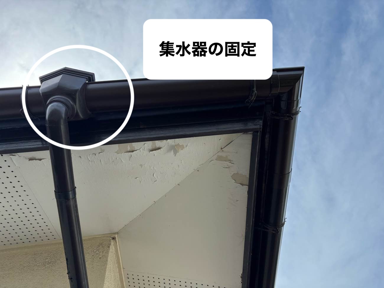雨樋交換工事