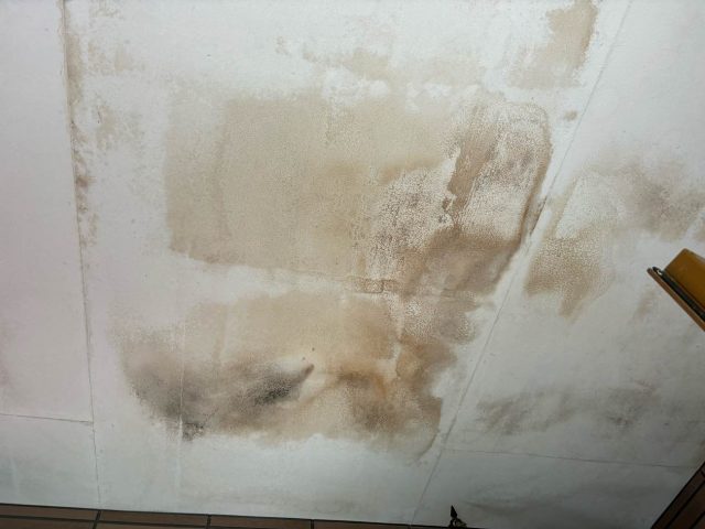 福岡市西区で調査した雨漏り状況