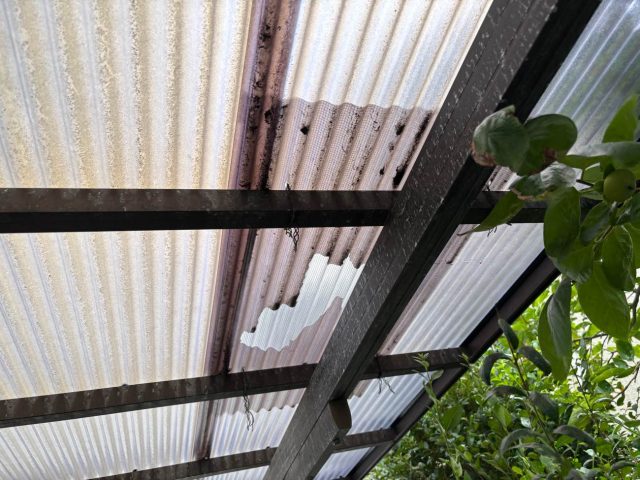 福岡市南区の穴のあいた波板