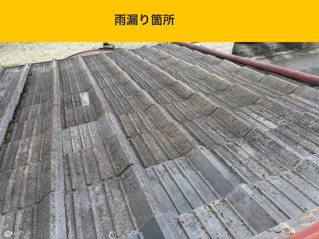 屋根面の状態を全体的にチェック