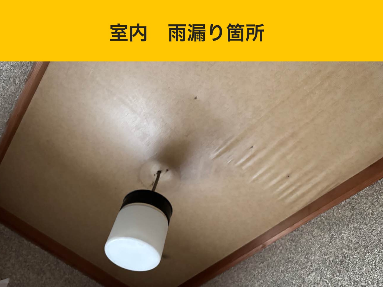 室内の雨じみと波打ちを確認