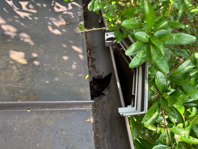 福岡市南区｜雨漏りで天井クロスの剥がれ、原因は金属屋根のドレン詰まりとコーキング劣化