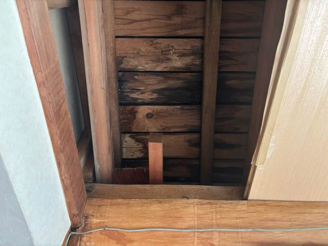 福岡市東区の雨漏り状況