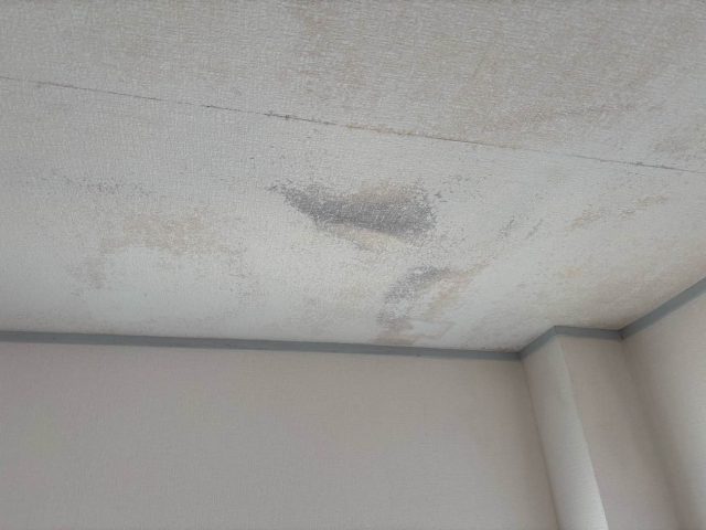 福岡市早良区の倉庫の雨漏り被害