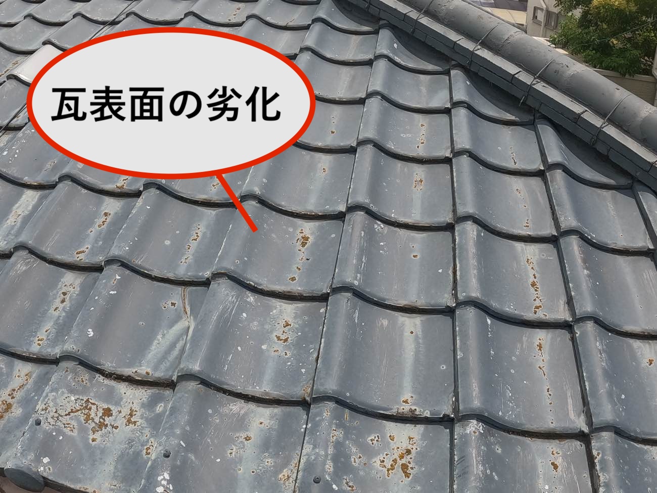 瓦表面の劣化