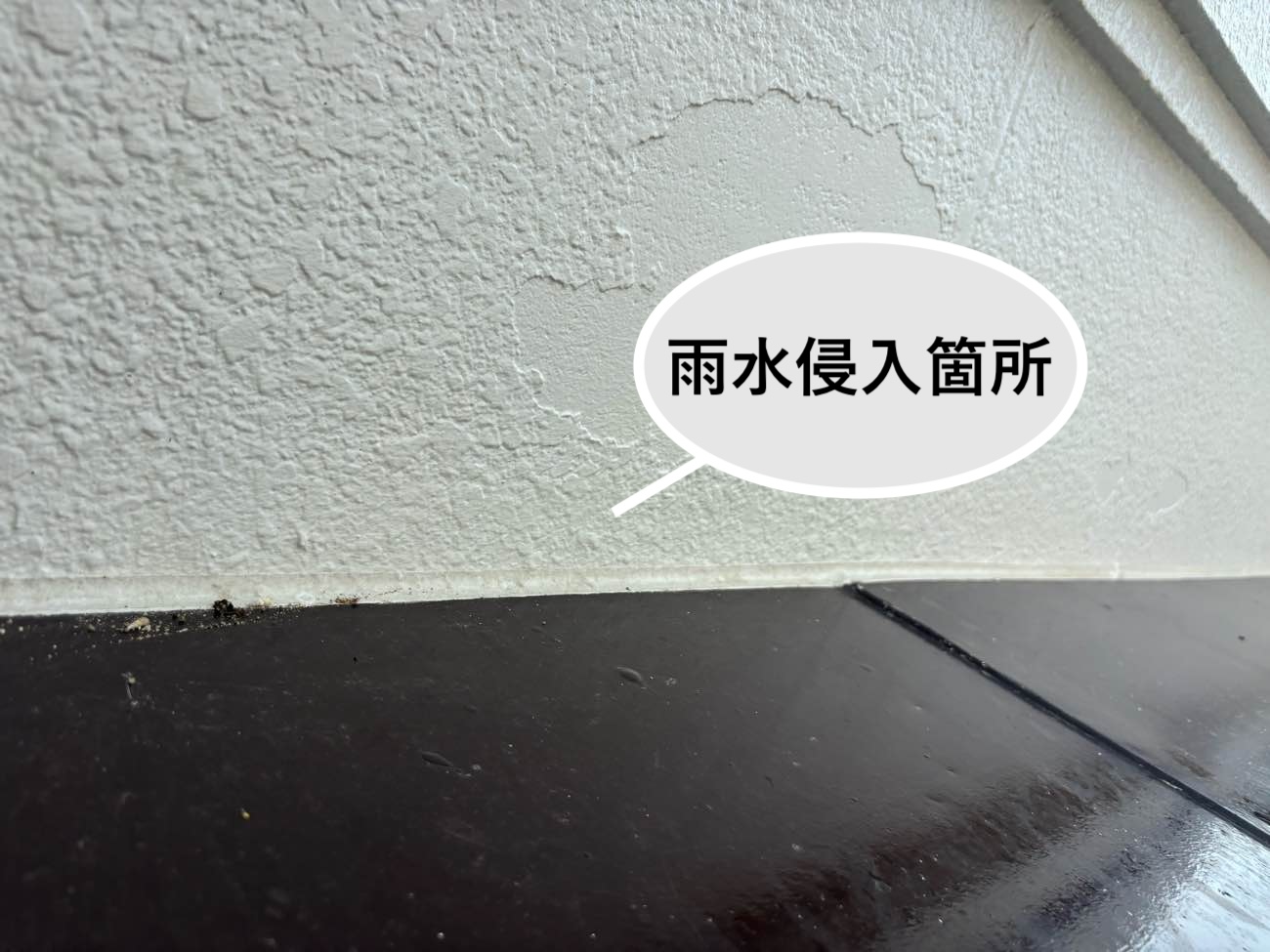 雨漏り箇所