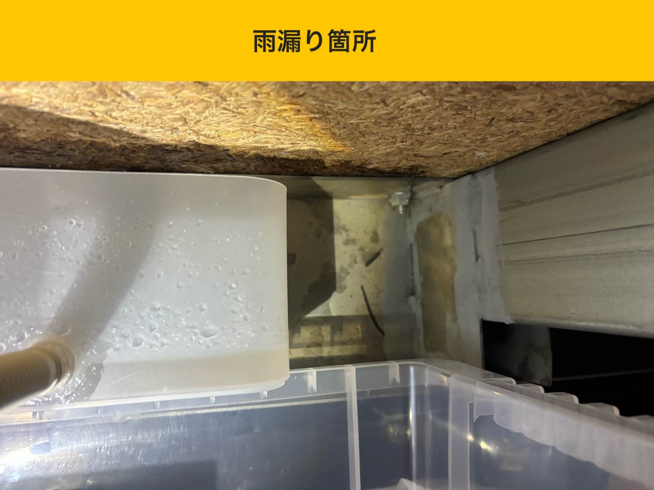 和室天井付近に雨水の影響が見られる状態