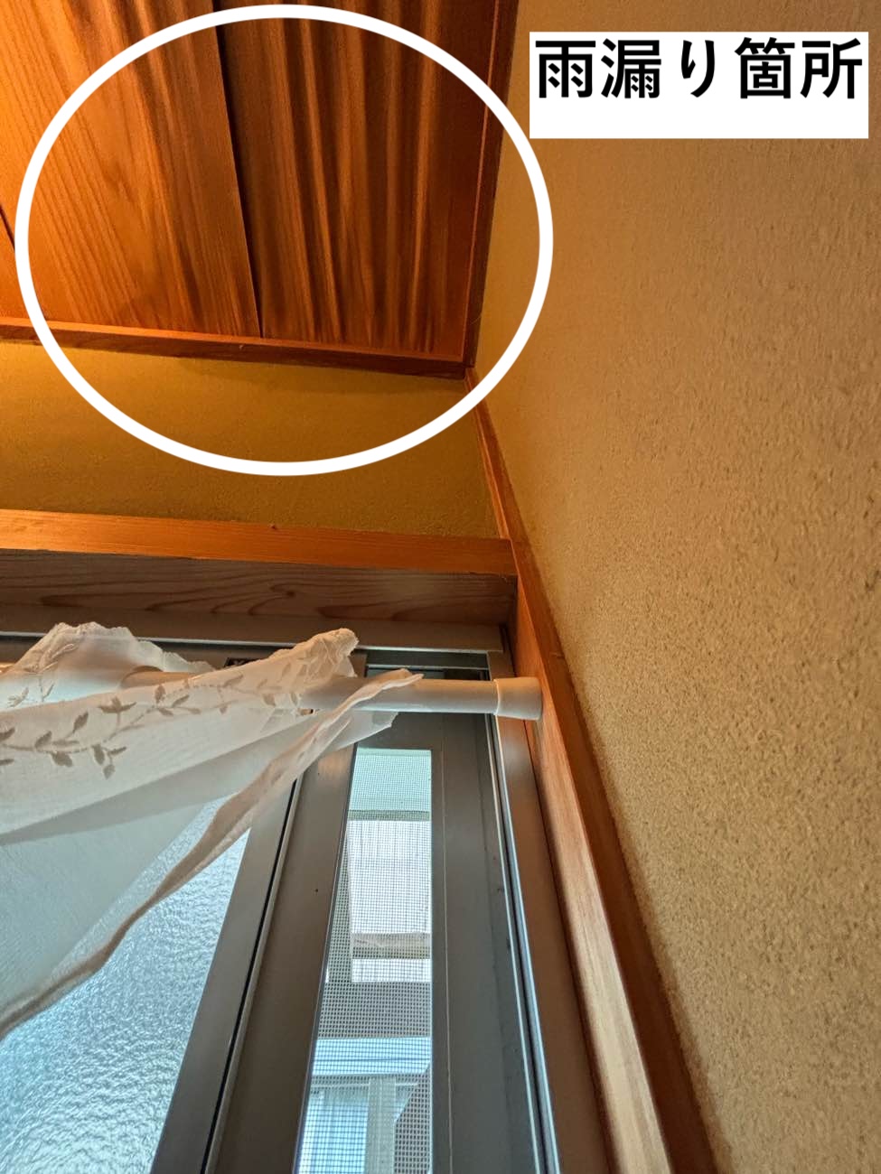 室内にできた雨じみ
