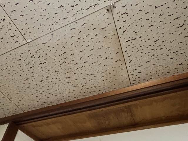 福岡市東区で雨漏りした天井