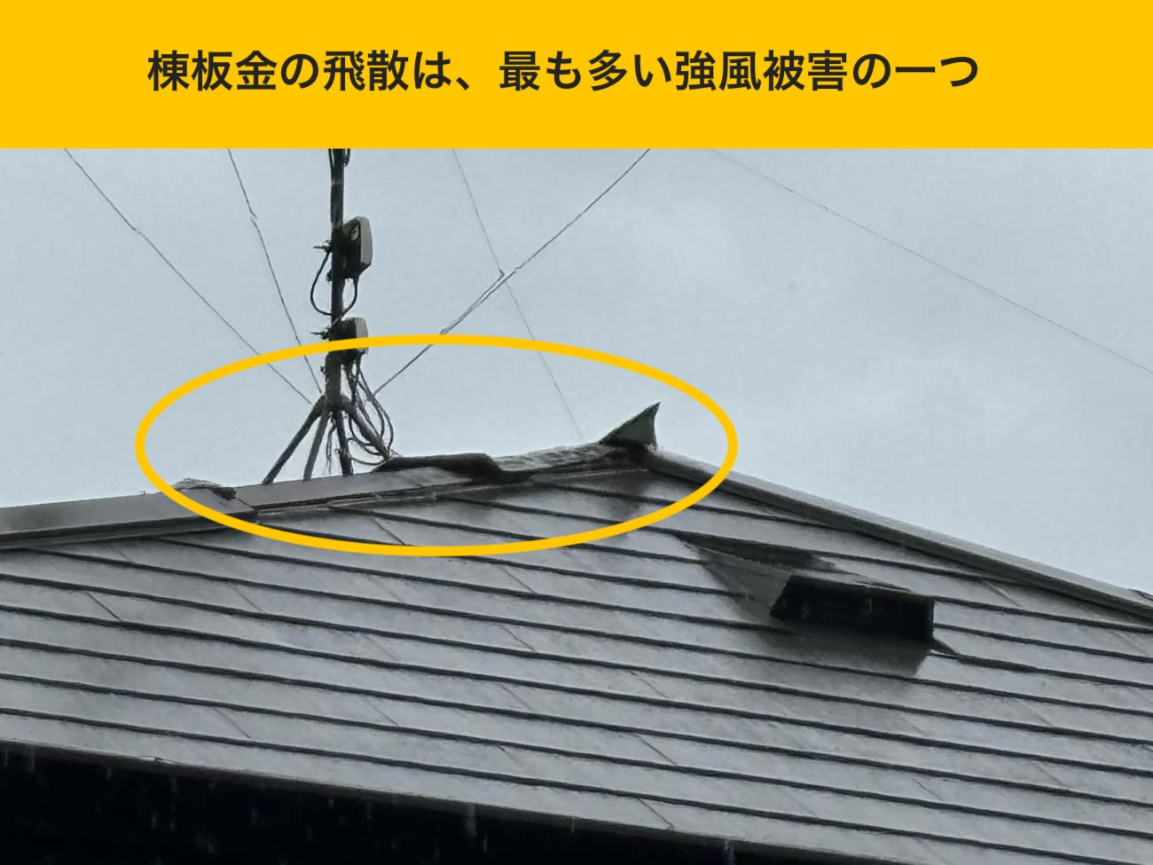 棟板金の飛散、糟屋郡志免町