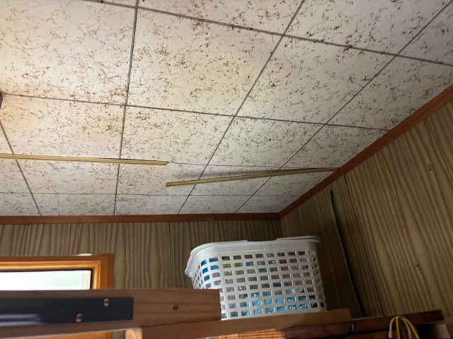 須恵町で雨漏りした天井