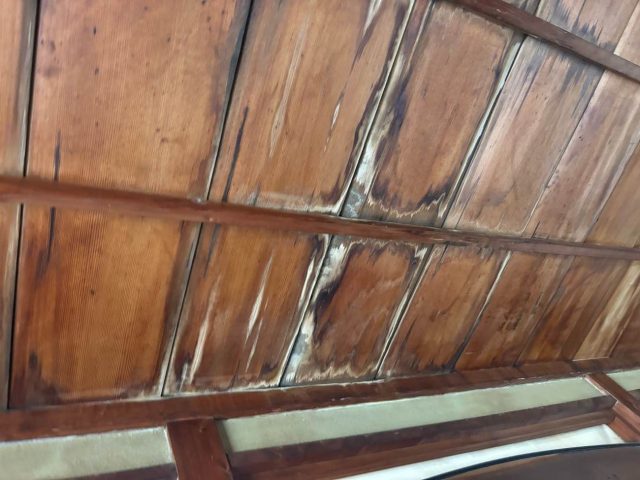 福岡市東区の雨漏り被害状況