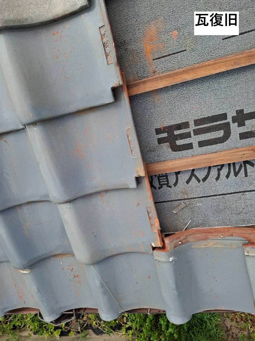 瓦の復旧