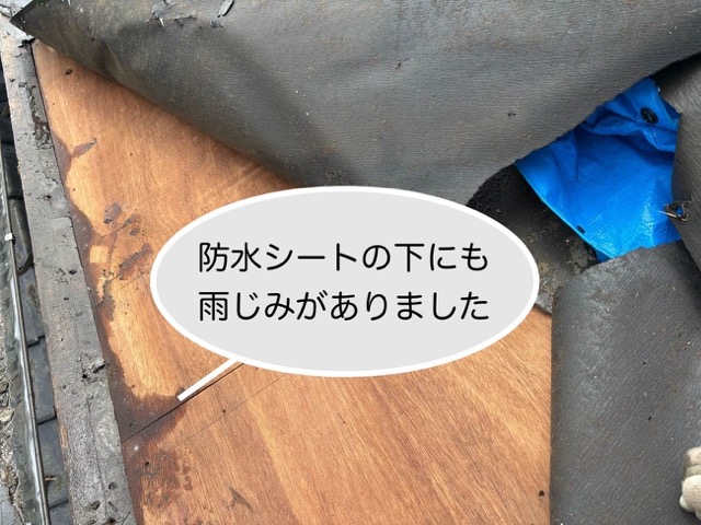 葺き替え工事、防水シートへのしみ