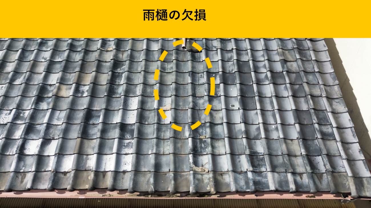 雨樋の欠損が見つかった屋根面