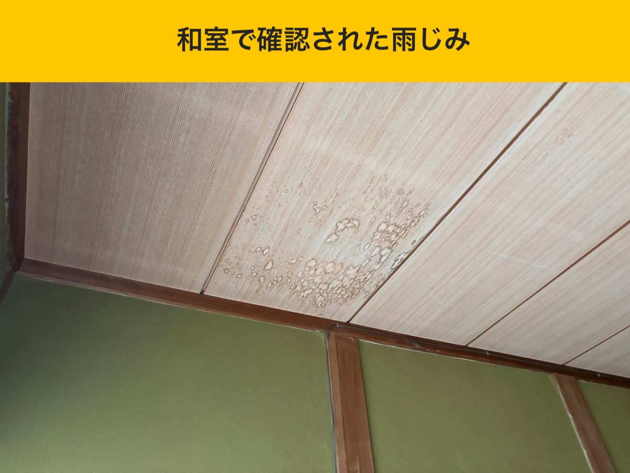 和室天井に確認できた雨じみ